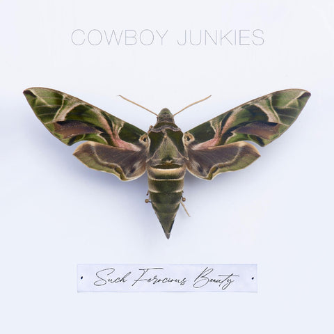 Cowboy Junkies - Such Ferocious Beauty ((CD))