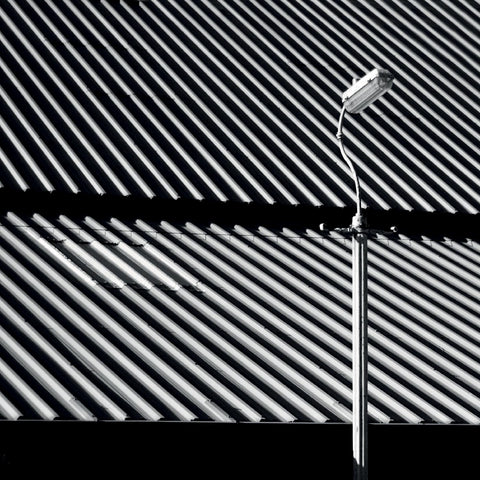 Craven Faults - Erratics & Unconformities ((CD))