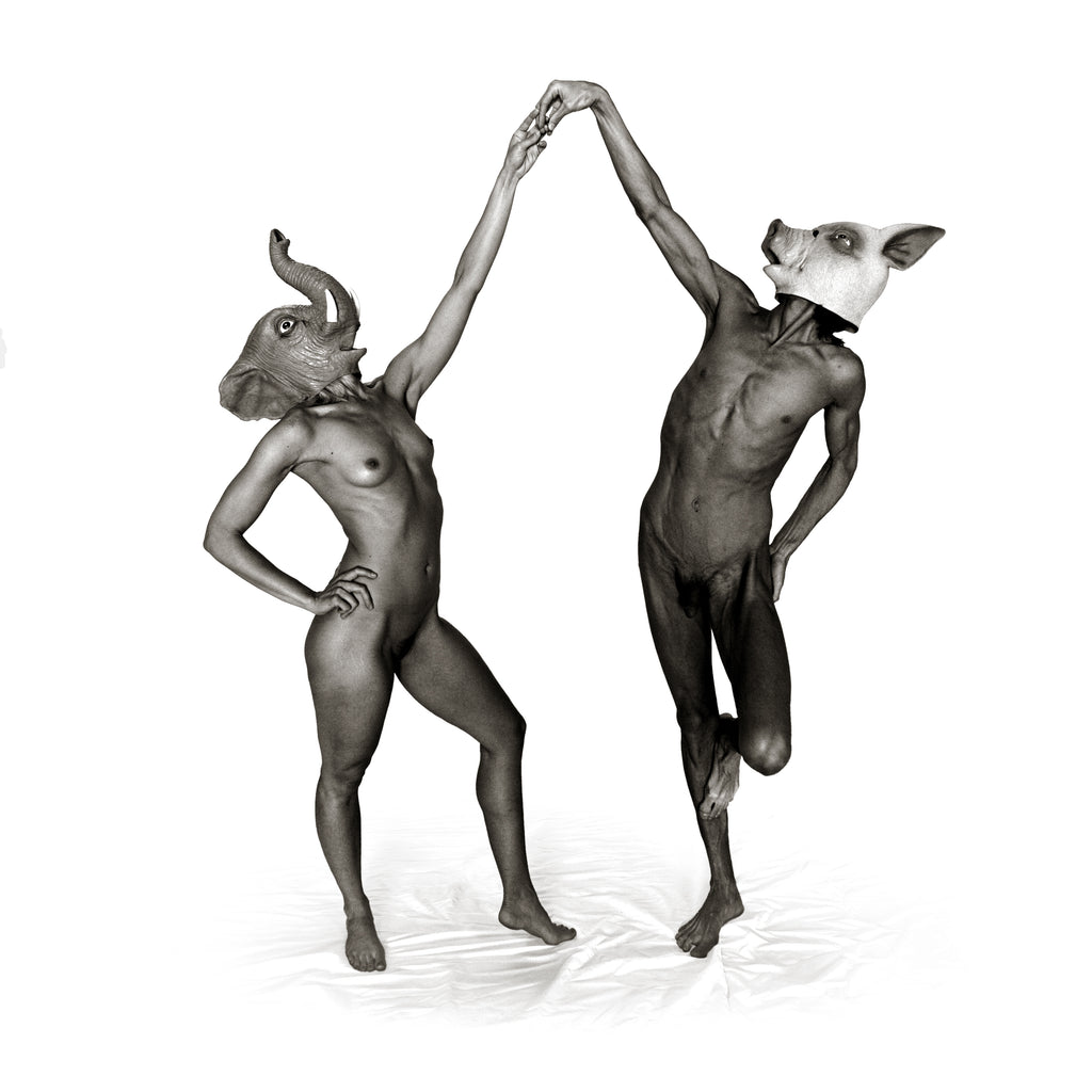 Crooked Fingers - Forfeit/Fortune ((CD))