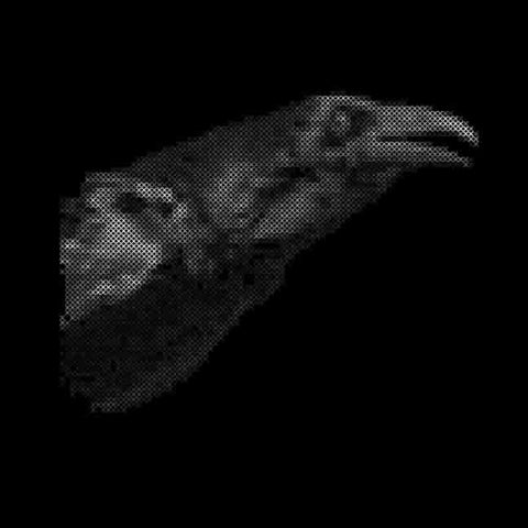 Cut City - Exit Decades ((CD))