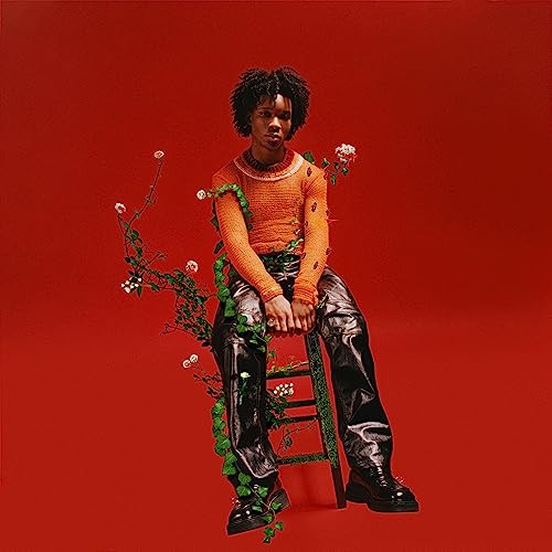 d4vd - Petals To Thorns [Translucent Black Ice LP] ((Vinyl))