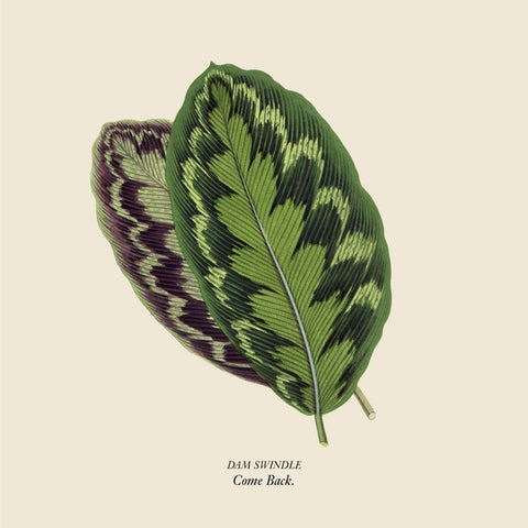 DAM SWINDLE - Come Back ((Vinyl))