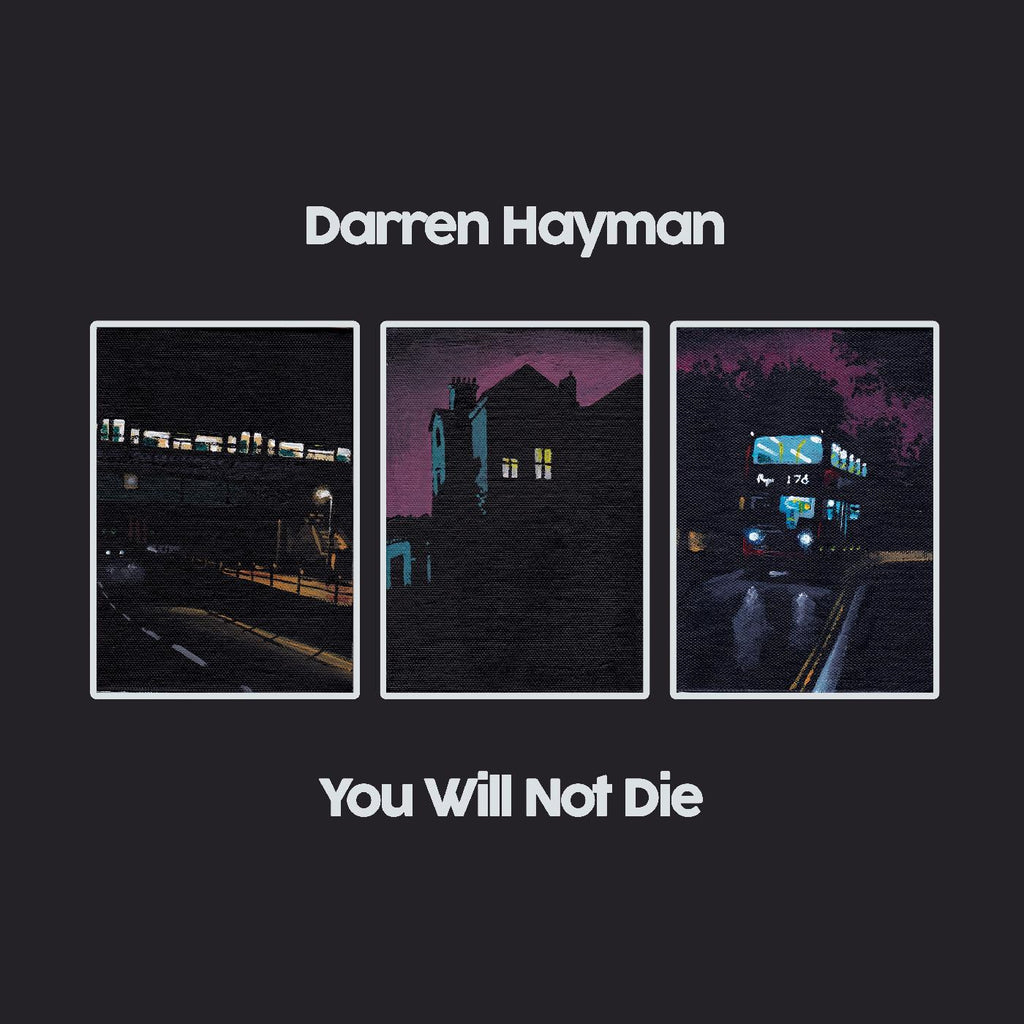 Darren Hayman - You Will Not Die ((CD))