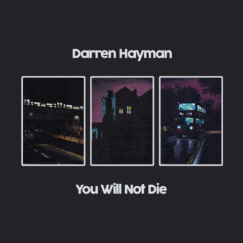 Darren Hayman - You Will Not Die ((CD))