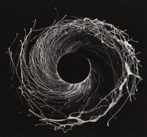 Dawn of Midi - Dysnomia ((CD))