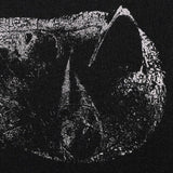 Demon Head - Viscera (Limited Edition, Numbered, Clear Brown Marble Colored Vinyl) ((Vinyl))