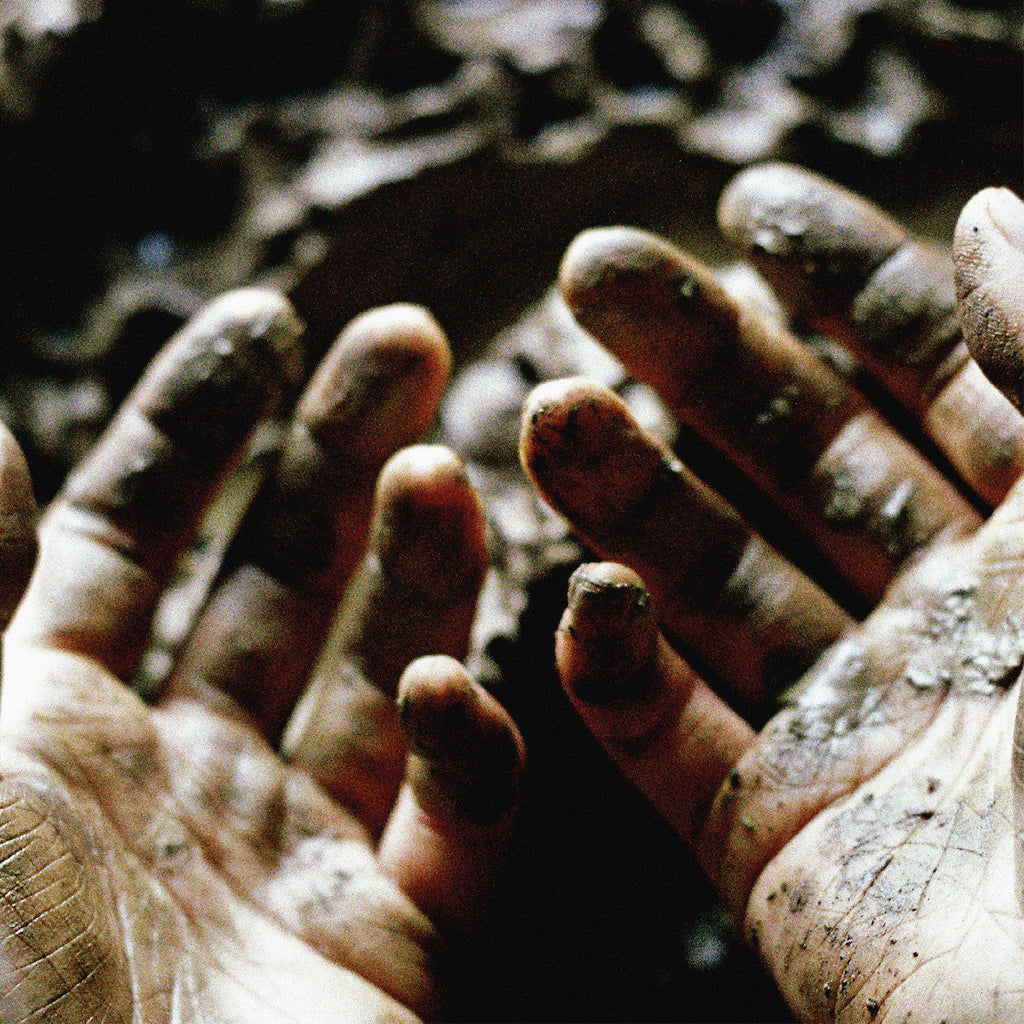 Dis Fig - What To Make Of These Mortal Hands ((Vinyl))