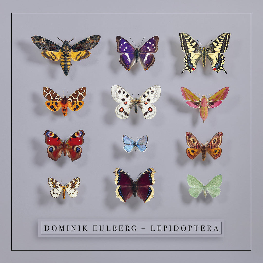Dominik Eulberg - Lepidoptera ((CD))