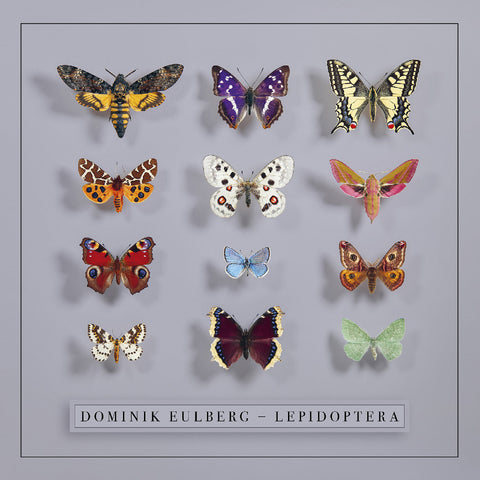 Dominik Eulberg - Lepidoptera ((CD))