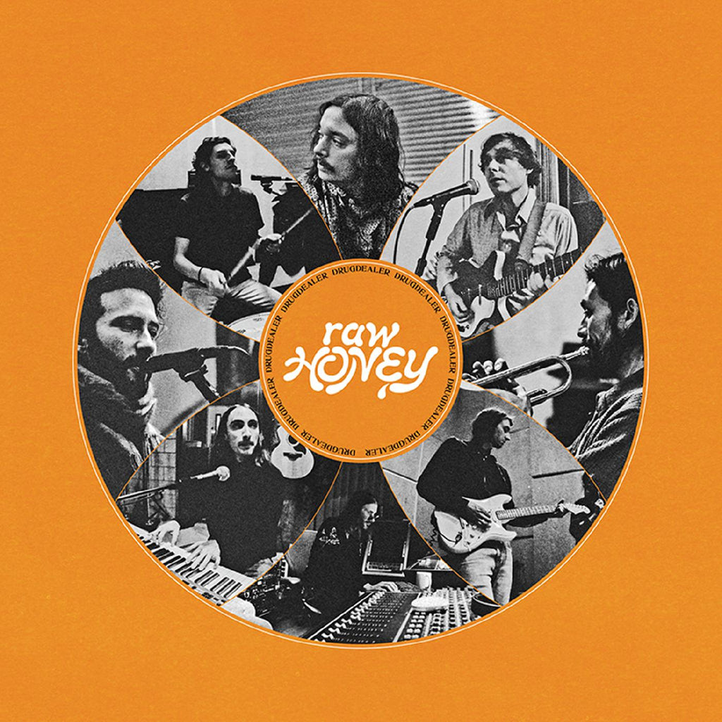 Drugdealer - Raw Honey ((CD))