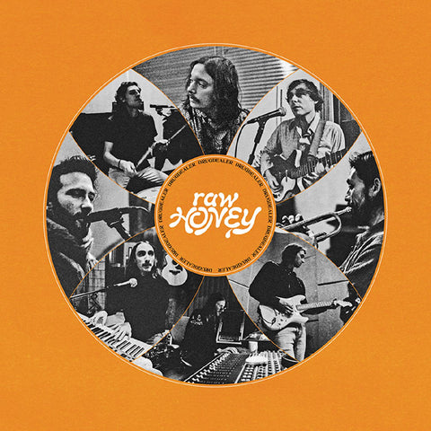 Drugdealer - Raw Honey ((CD))
