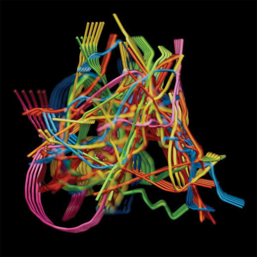 Dustin Wong - Perpetual Morphosis ((CD))