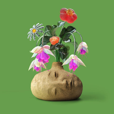 Elephant Gym - Dreams ("Flower Petal" Fuschia Vinyl) ((Vinyl))