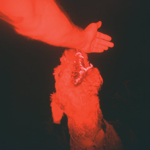 Eli Winter - A Trick Of The Light ("Optical Illusion" Transparent Red Vinyl) ((Vinyl))