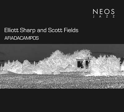 ELLIOTT SHARP & SCOTT FIELDS - Afiadacampos ((CD))