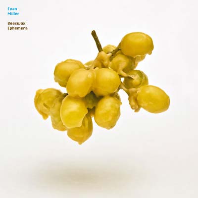 EVAN MILLER - Beeswax Ephemera ((CD))