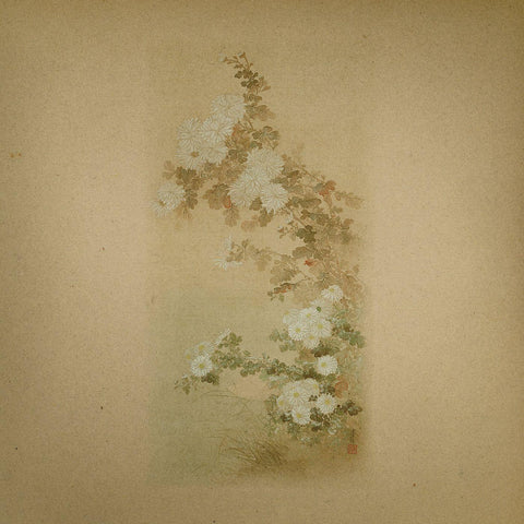 Ezra & John Kolodij Feinberg - Ezra Feinberg & John Kolodij ((Vinyl))