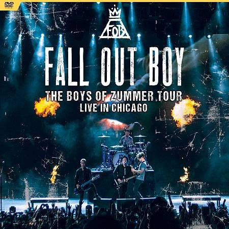 Fall Out Boy - THE BOYS OF ZUMME(DV ((DVD))