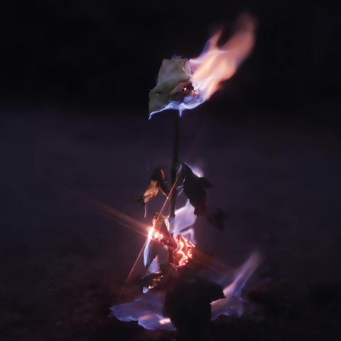 FARWARMTH - Momentary Glow ((CD))