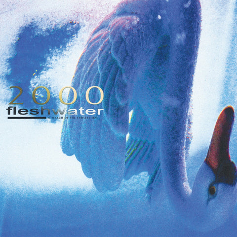 Fleshwater - 2000: In Search Of The Endless Sky ((CD))