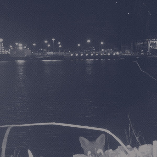 FUCHS - Fuchs ((Vinyl))