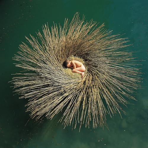 Gabriel,Peter - Ovo (Rsd 4.12.25) ((Vinyl))