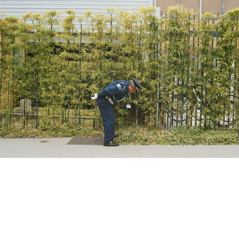 Gold Panda - Good Luck and Do Your Best ((CD))