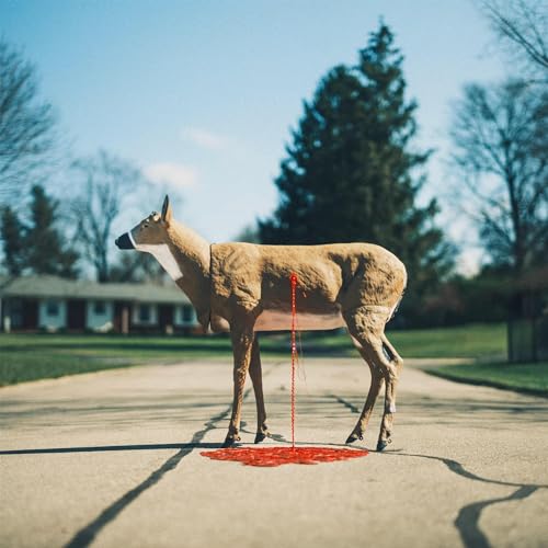 Graham, Wayne - Bastion ((Vinyl))