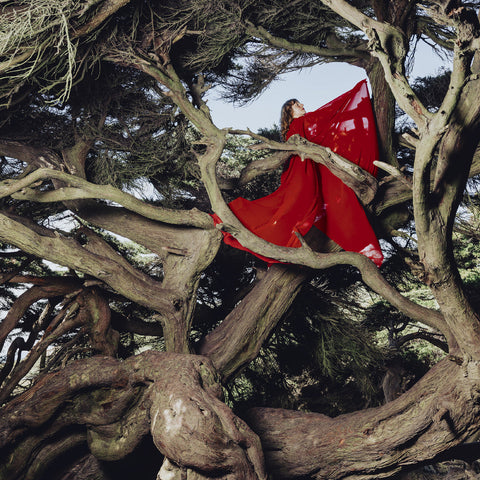 Hannah Frances - Nested In Tangles (Ruby Red Vinyl) ((Vinyl))