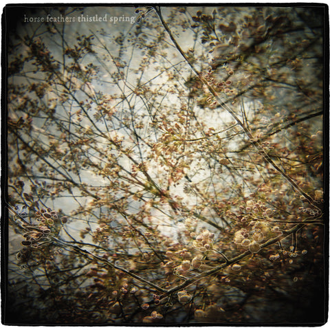Horse Feathers - Thistled Spring LP ((Vinyl))