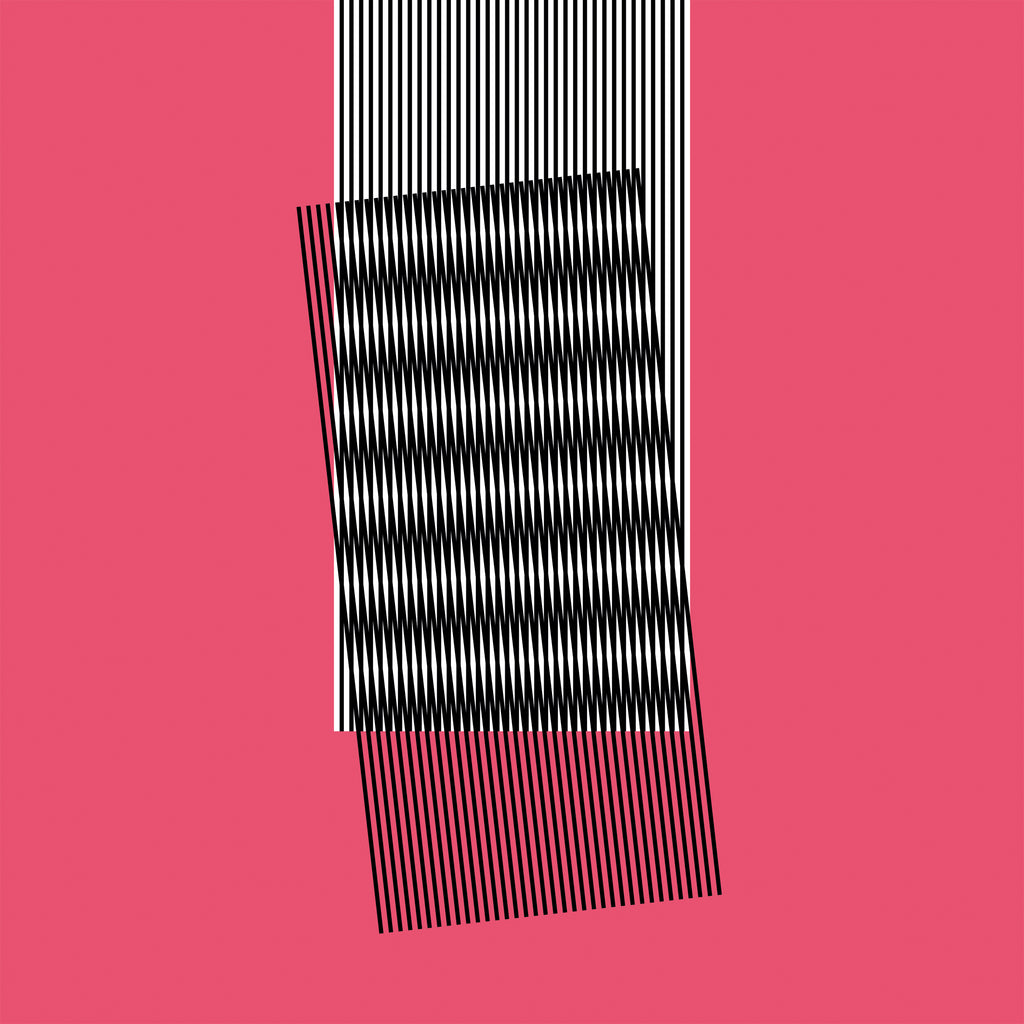HOT CHIP - Why Make Sense? ((Vinyl))