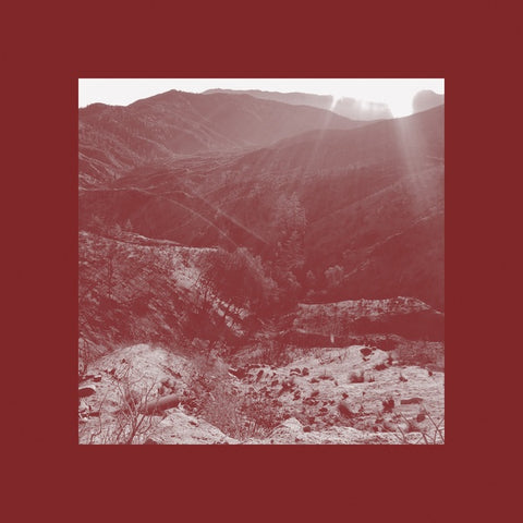 IAN WELLMAN - On The Darkest Day, You Took My Hand And Swore It Will Be Okay ((CD))