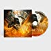 Induction - Born From Fire ((CD))