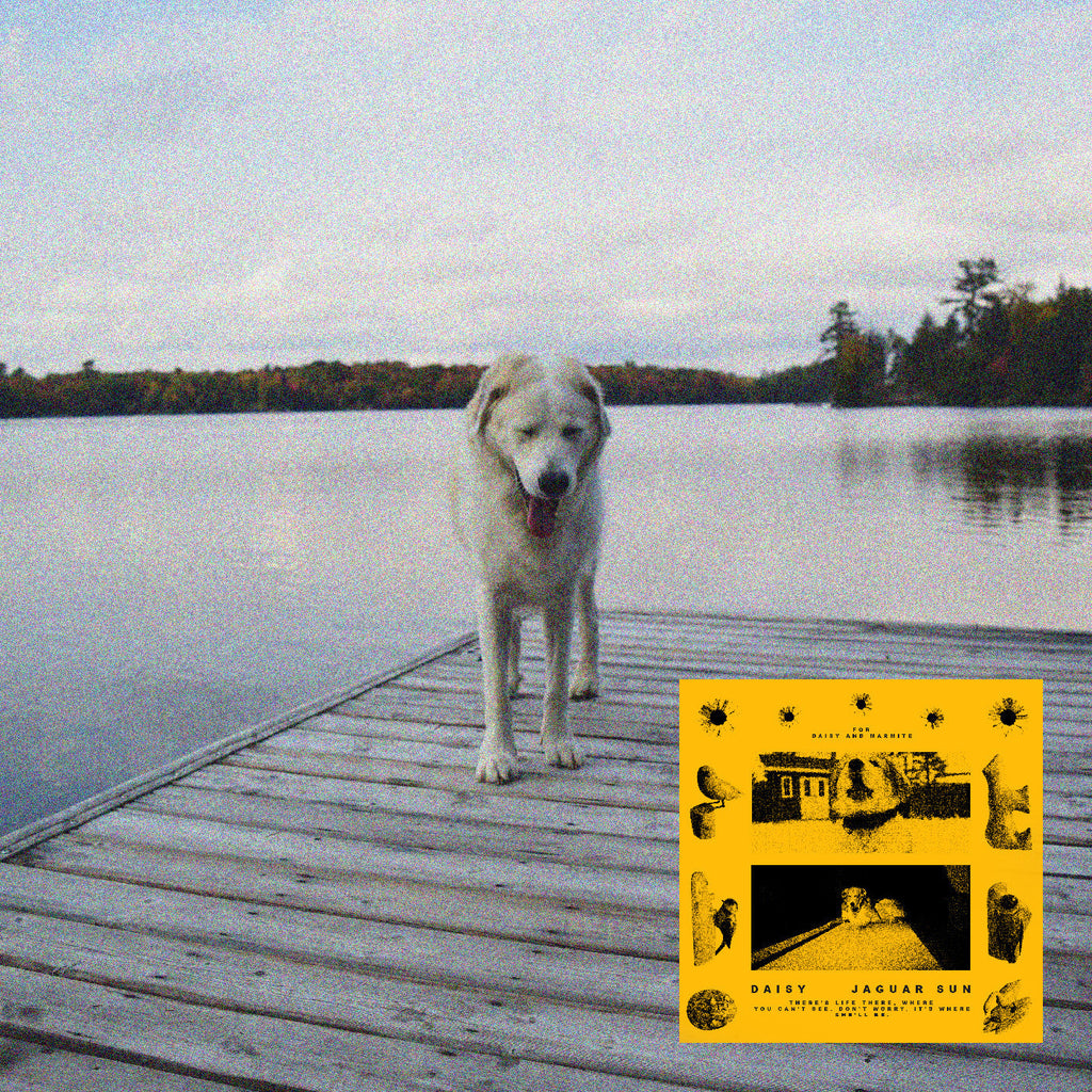 Jaguar Sun - Daisy (Black And Yellow Swirl Vinyl) ((Vinyl))