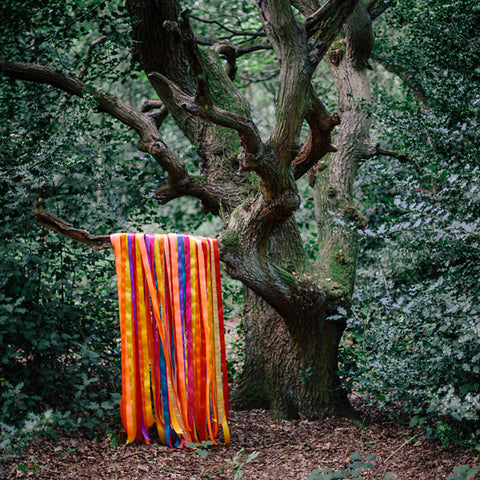 JAMES HOLDEN & THE ANIMAL SPIRITS - The Animal Spirits ((CD))