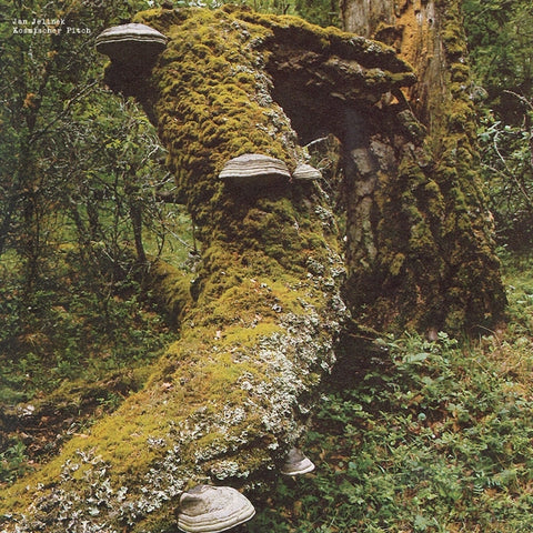 JAN JELINEK - Kosmischer Pitch ((Vinyl))