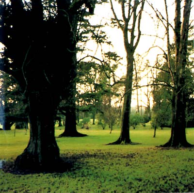 JANDEK - Brooklyn Wednesday ((DVD))