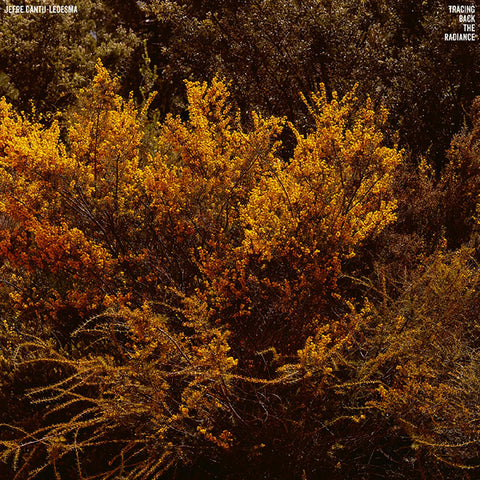 Jefre Cantu-Ledesma - Tracing Back The Radiance ((Vinyl))
