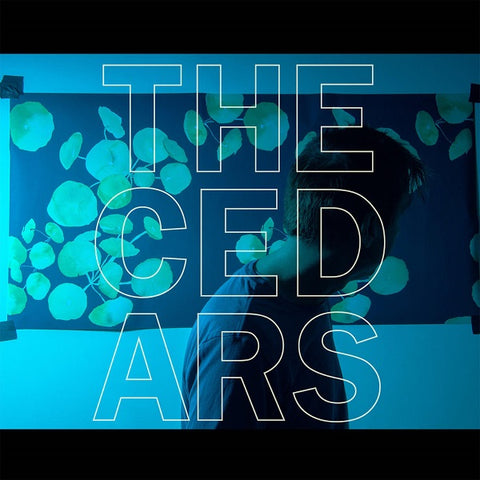 John Vanderslice - The Cedars ((Vinyl))