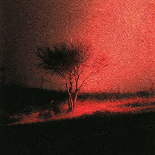 Joji - Piss In The Wind [Explicit Content] ((CD))