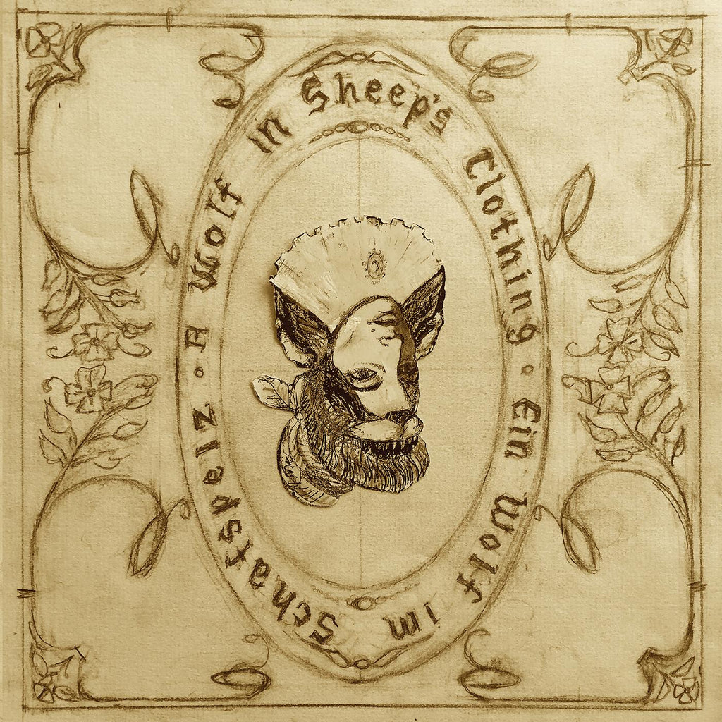 Josephine Foster - A Wolf in Sheeps Clothing ((CD))