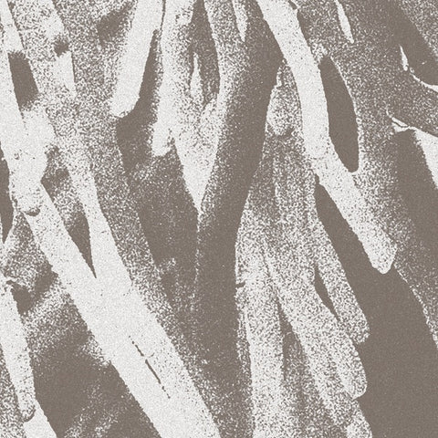 JW PATON - Structures ((CD))