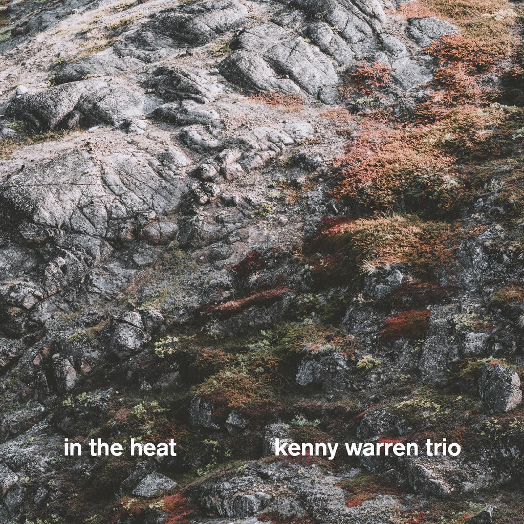 Kenny Trio Warren - In The Heat ((CD))