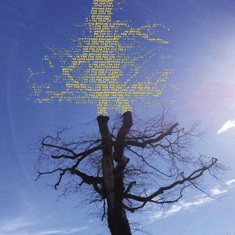 Laetitia Sadier - Rooting For Love ((Vinyl))