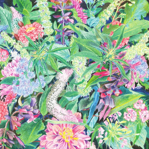 Light-Space Modulator - The Rising Wave ((Vinyl))