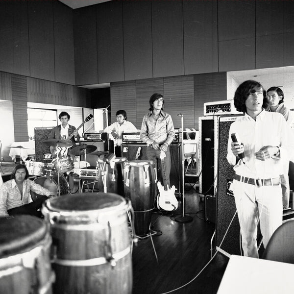 Los Texao - El Sonido Niebla De Los Texao ((Vinyl))