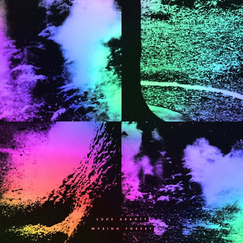 LUKE ABBOTT - Wysing Forest ((Vinyl))
