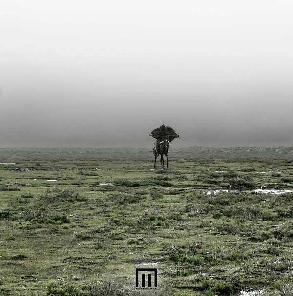 MARKUS WORMSTORM - Figure In Field ((Vinyl))