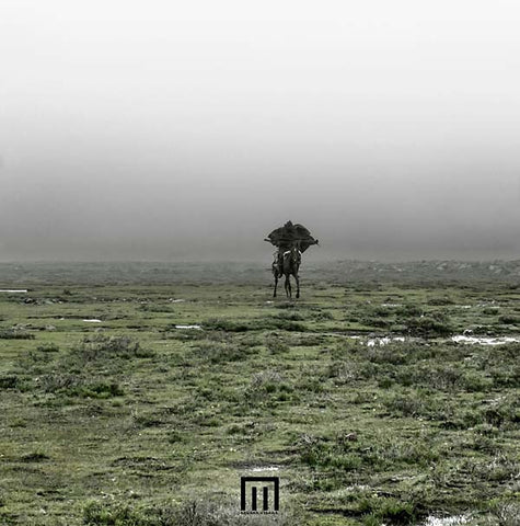 MARKUS WORMSTORM - Figure In Field ((Vinyl))