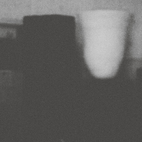 Merzbow - The Misfortune Of Virtue The Prosperity Of Vice ((CD))